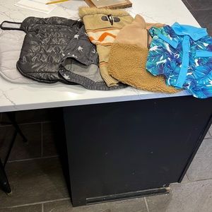 Stylish Dog Clothing Set - Assorted Colors